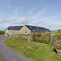 driveway to the stables carrog